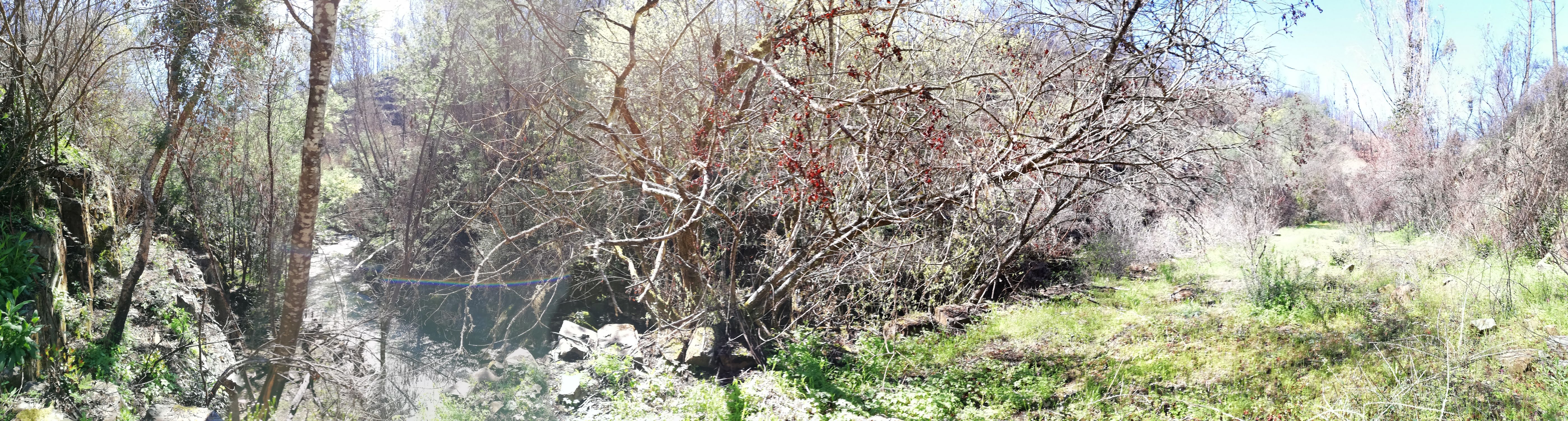 March 2018 Alles Grün
